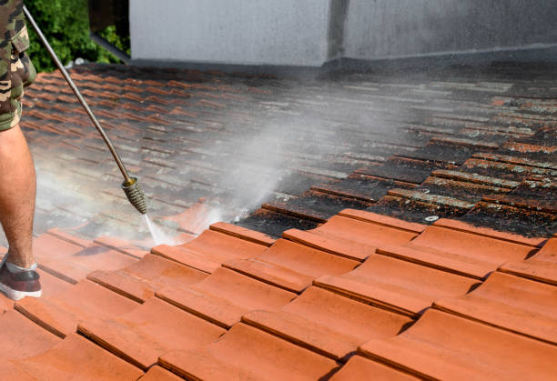 Best Residential Pressure Washing Services  in Brookridge, FL