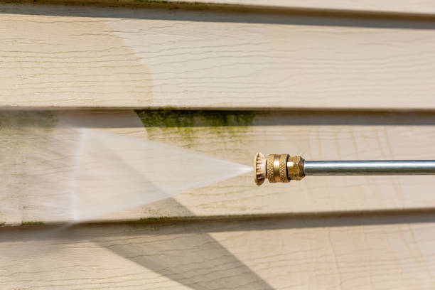 Best Power Washing Near Me  in Brookridge, FL